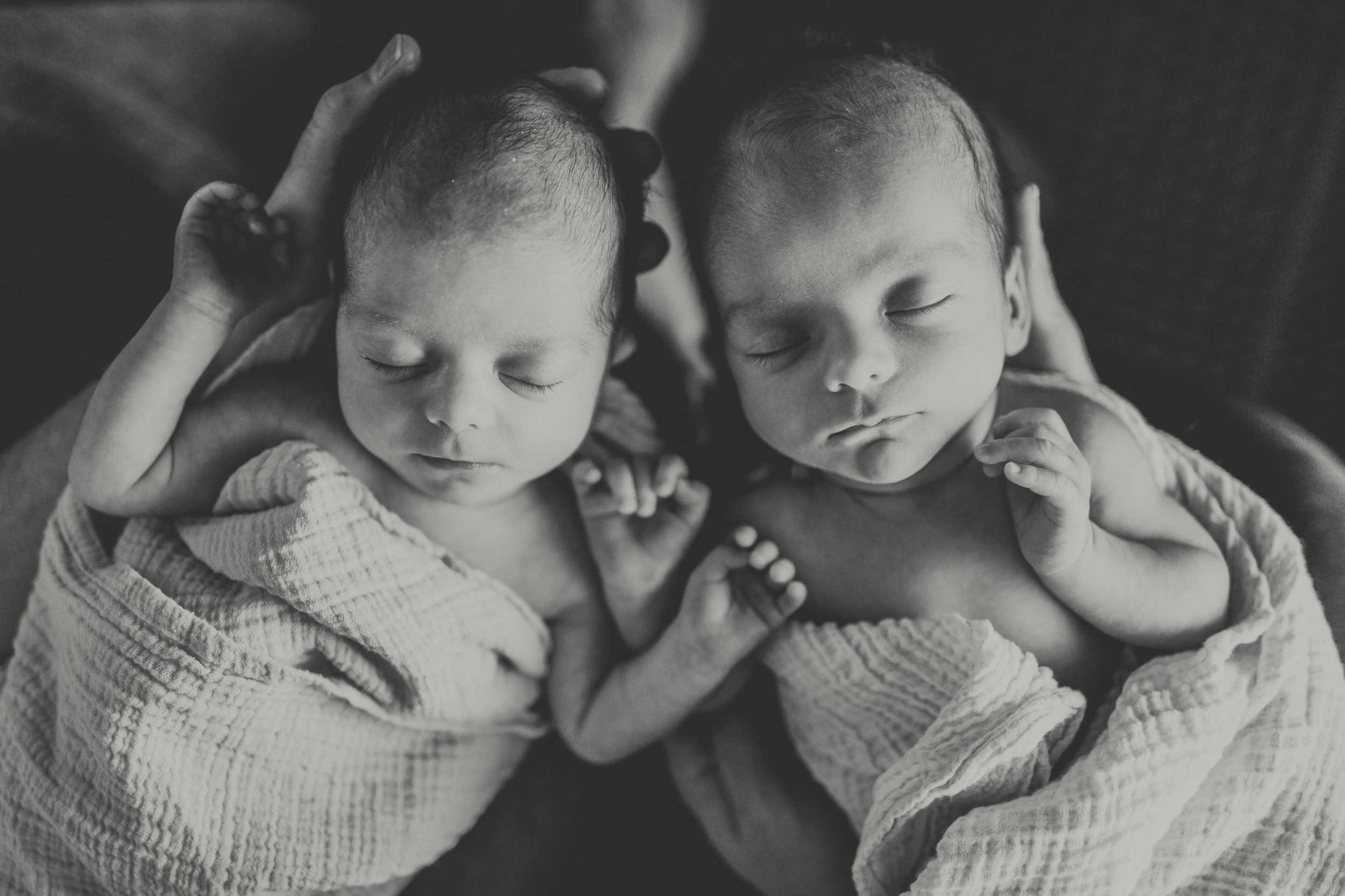 Toronto Newborn Twin Photographer