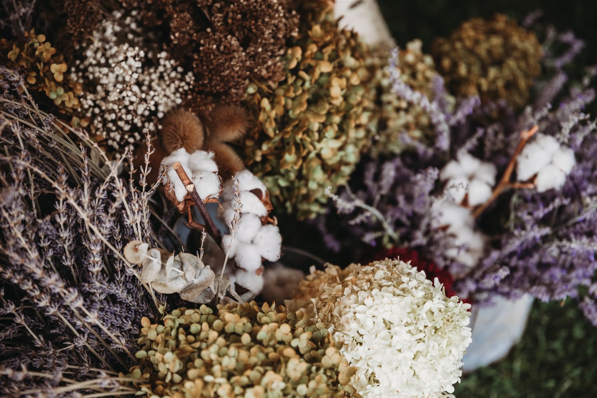intimate lavender farm wedding, arthur lavender farm, covid wedding photos