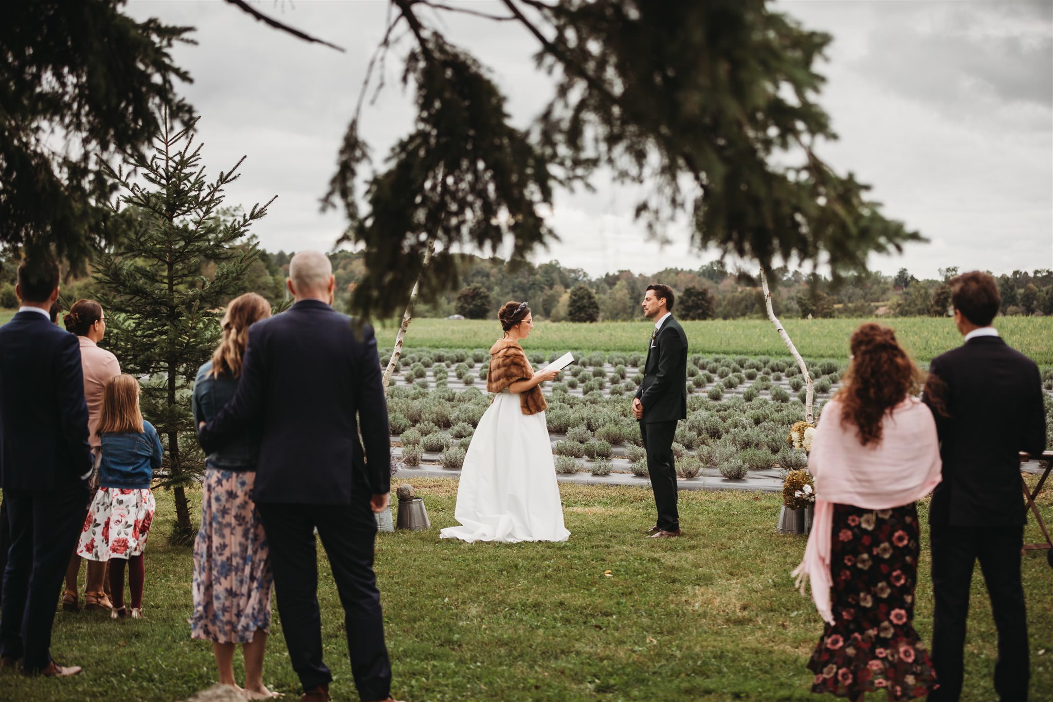 intimate lavender farm wedding, arthur lavender farm, covid wedding photos